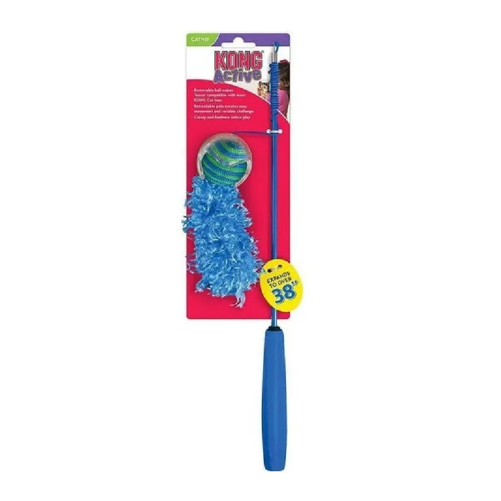 KONG Active Fishing Pole Teaser Cat Toy