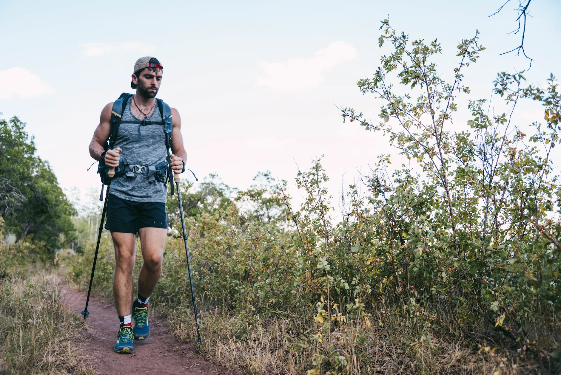 LT5 Three Piece Carbon Trekking Poles (pair)