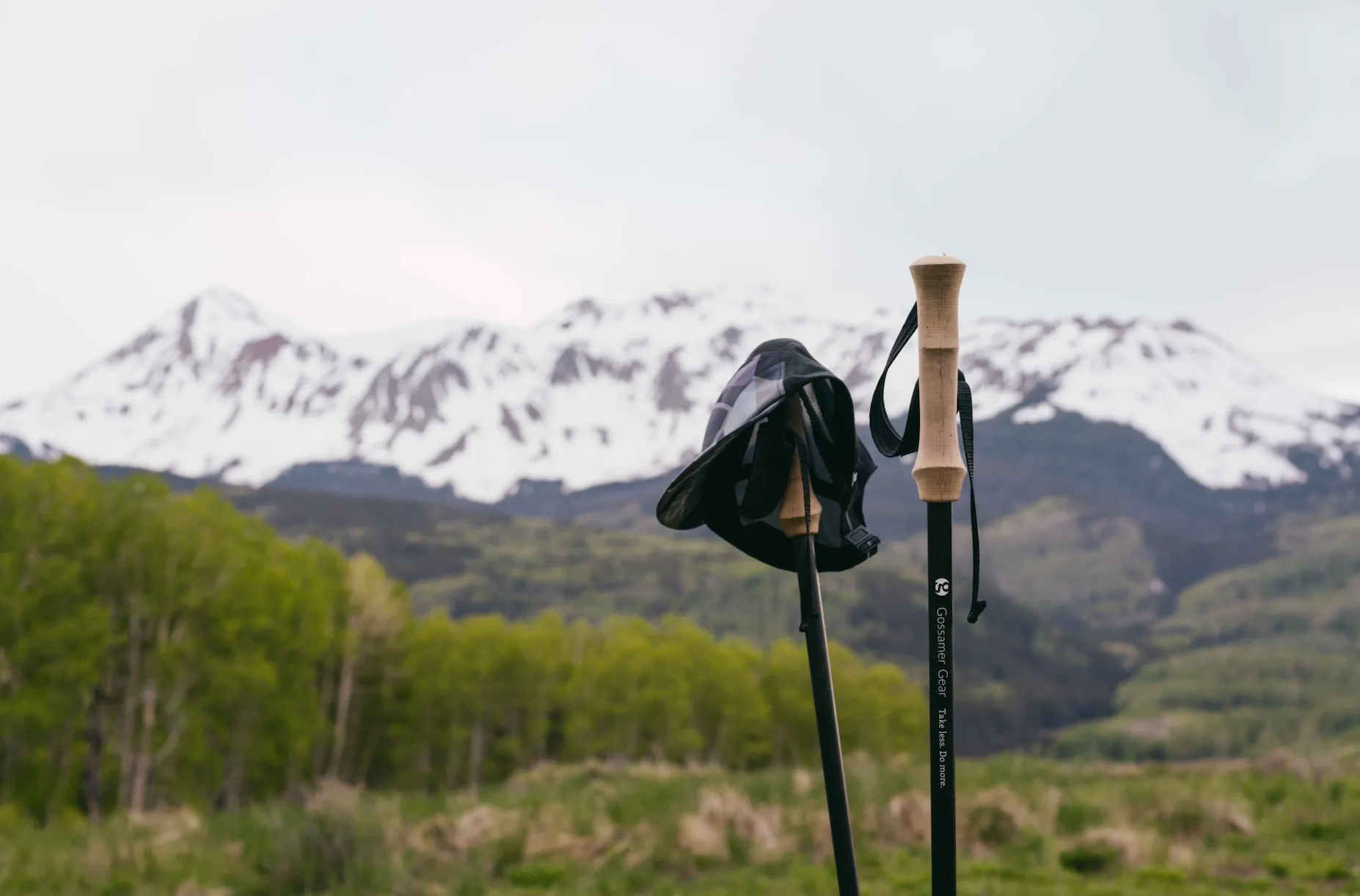 LT5 Three Piece Carbon Trekking Poles (pair)