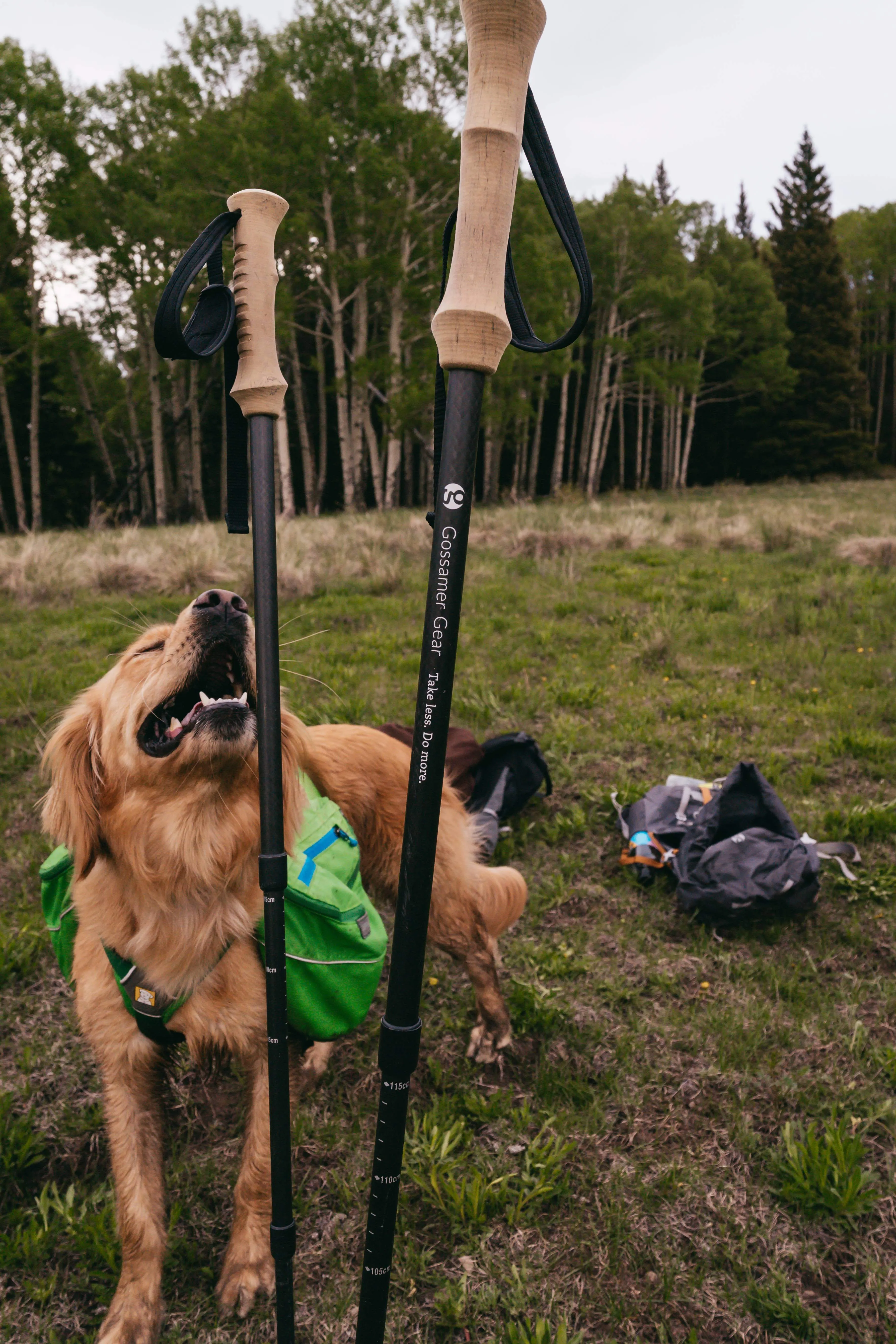 LT5 Three Piece Carbon Trekking Poles (pair)